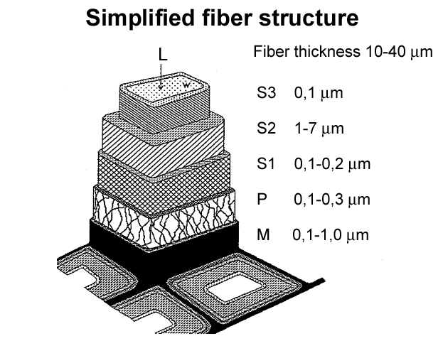 Simplified fiber structure (Metso Paper)