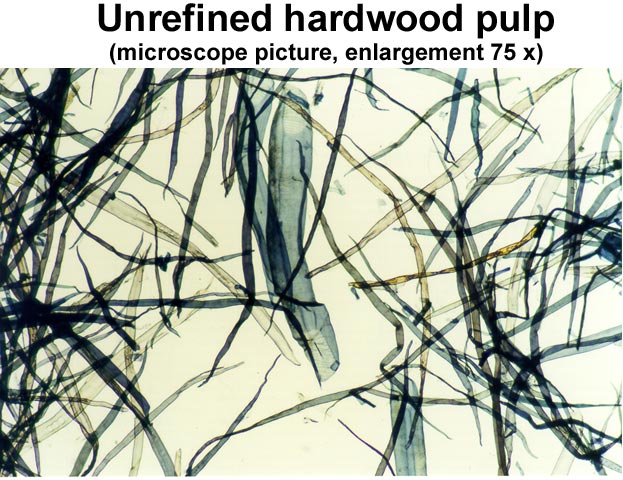 Unrefined hardwood (birch) pulp (KCL)