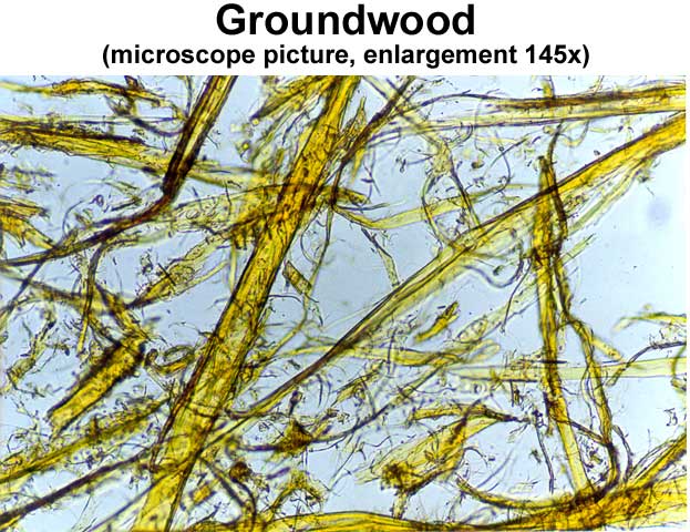 Groundwood pulp (microscope picture, enlargement 145x)(KCL)