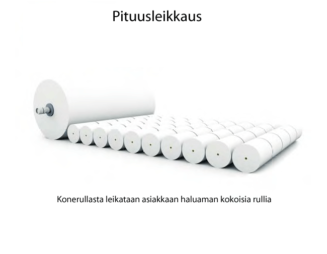 Pituusleikkaus (Valmet, Prowledge)