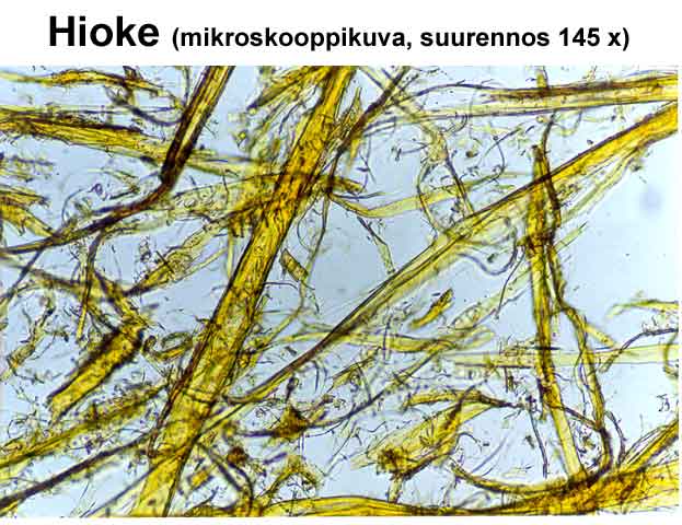 Hioke (mikroskooppikuva suurennos 145x)(VTT)